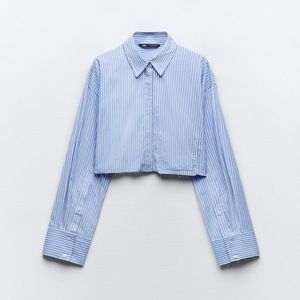 Blue Striped Dress Shirt (small)